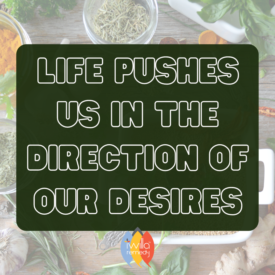 Life nudges us or shoves us