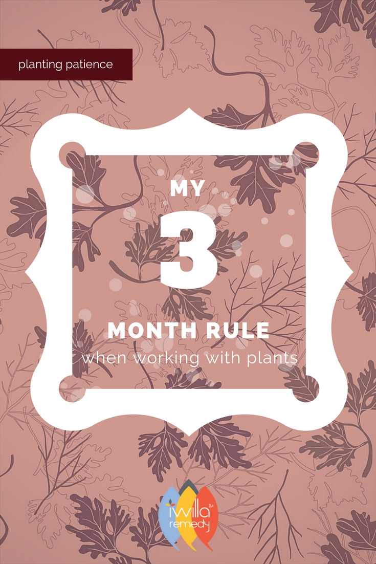 3 Month Rule When Working With Plants