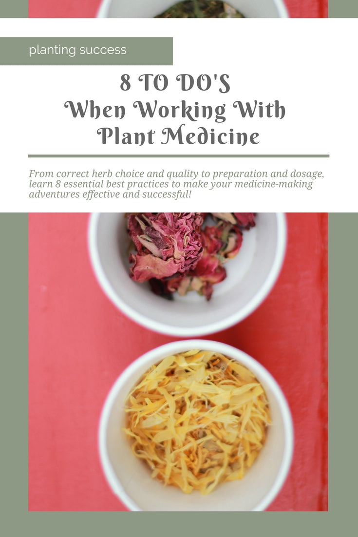 8 TO DO’s When Working With Plants