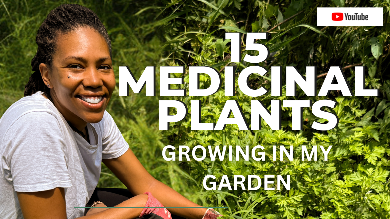 How to Start Your Own Medicinal Herb Garden—A Real-World Guide for Healers