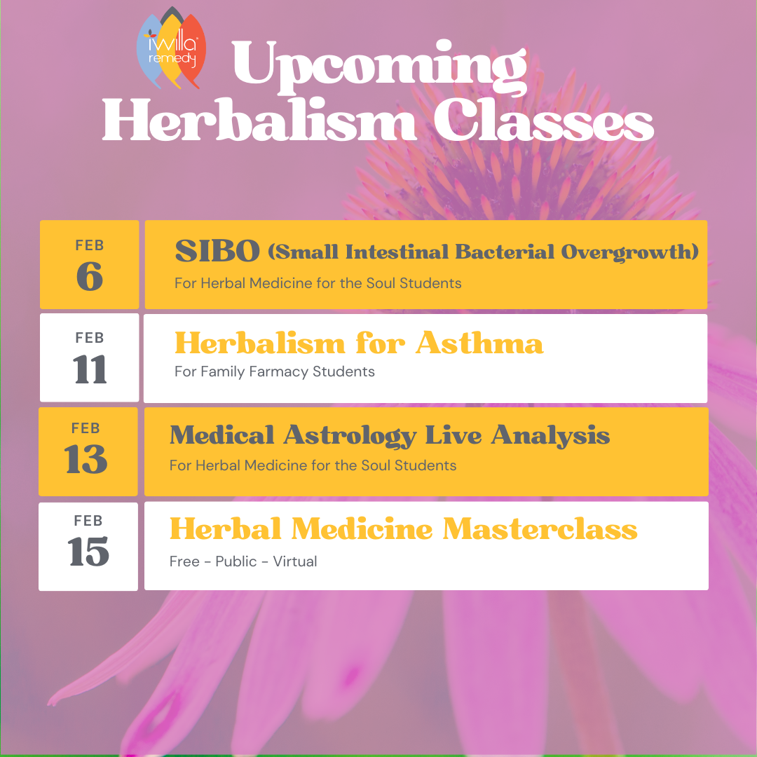 February's Herbalism Classes