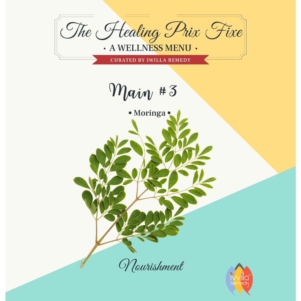 Moringa + Nourishment