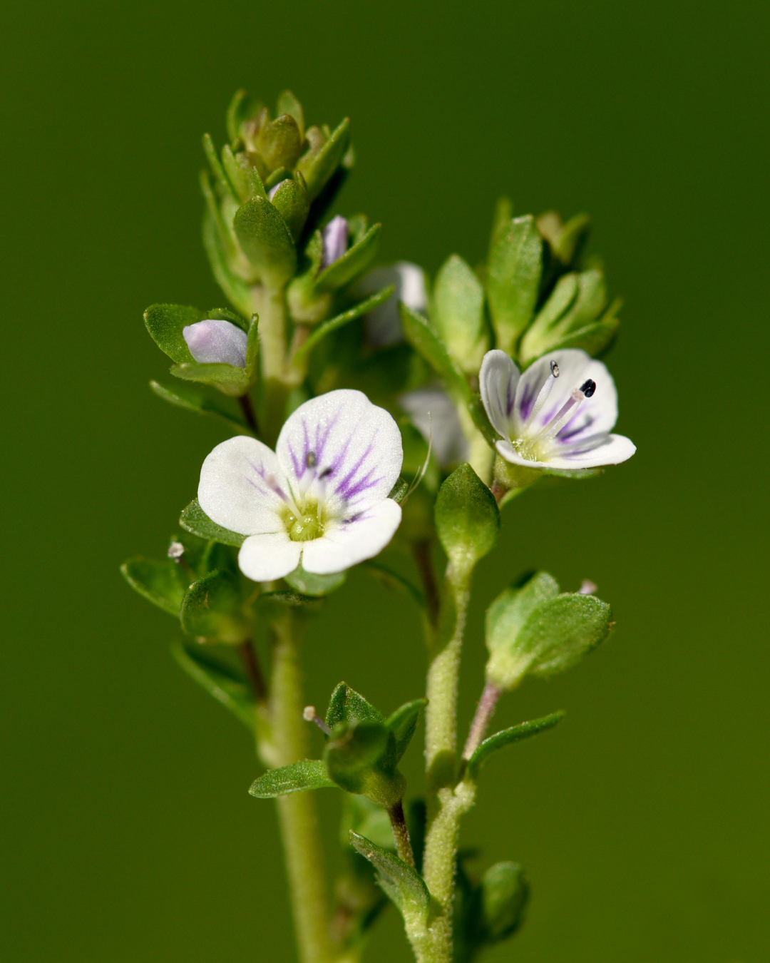 The Path of Possibility - "This isn't working"