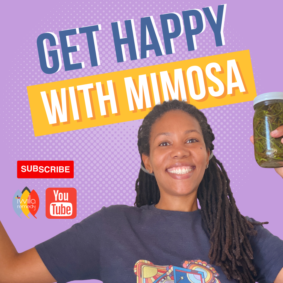 Mimosa - Medicine for Anxiety, Grief, & Depression
