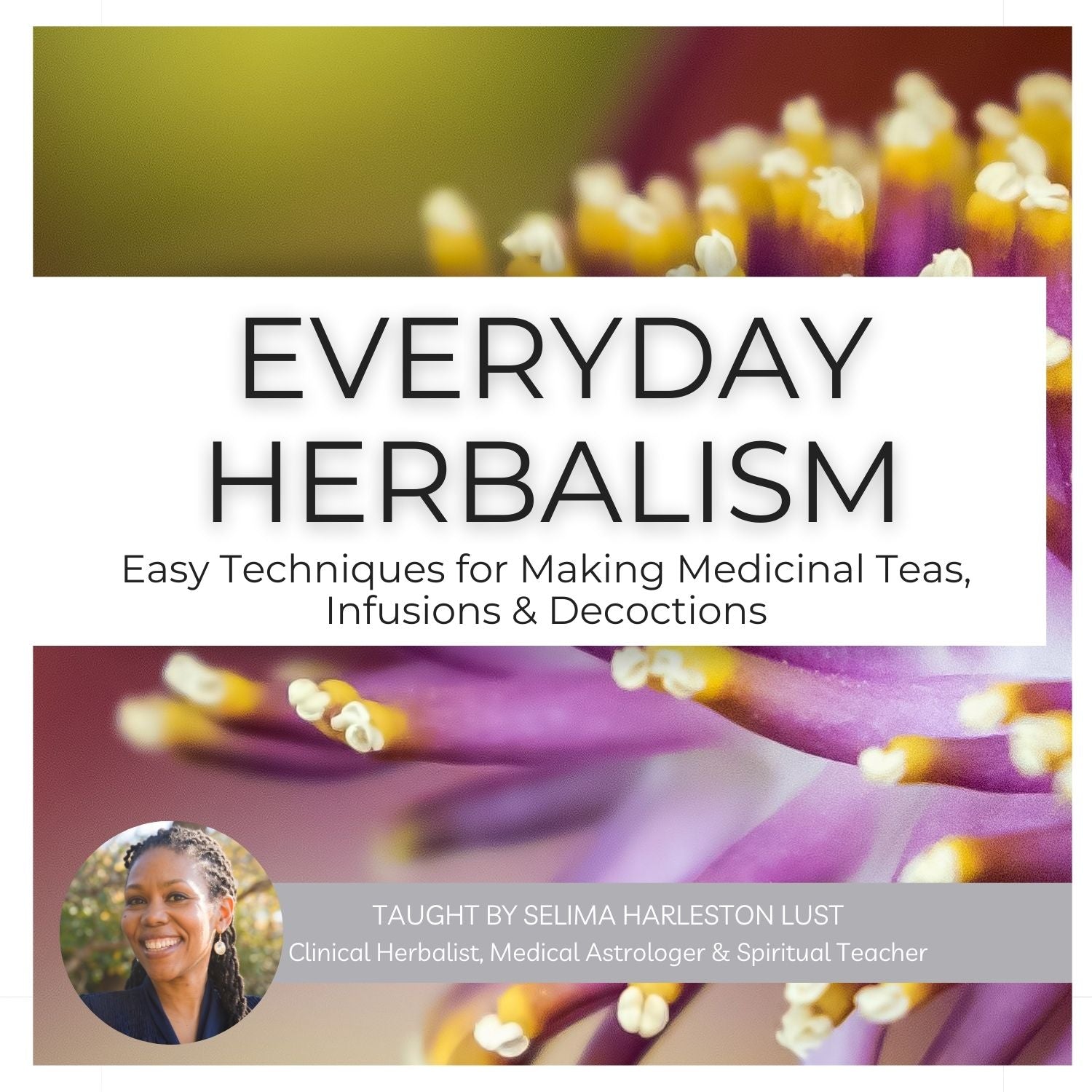 Everyday Herbalism Beginner Program