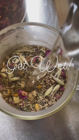 "Get Wet" Loose Leaf Blend Bundle