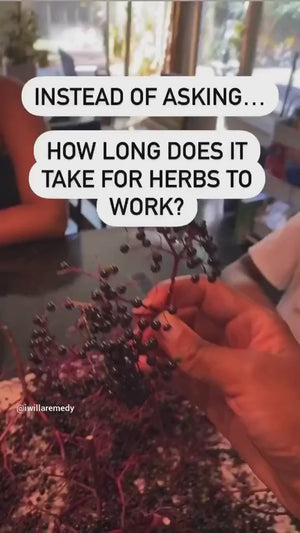 Immunity Herbal Syrup | Daily Immune and Respiratory Support with Elderberry