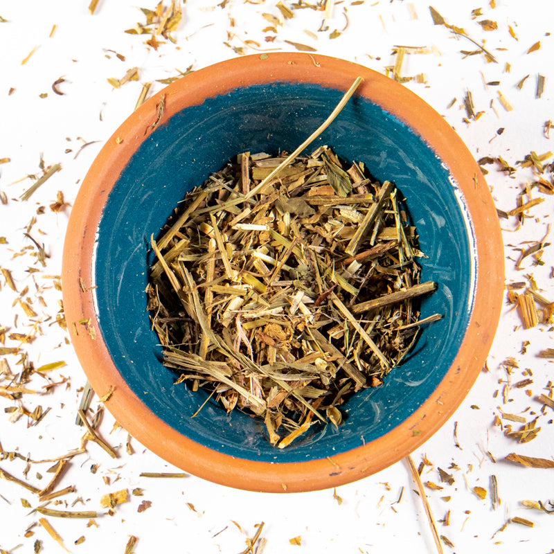 Alfalfa herb in blue clay bowl with white background and herb surrounding.