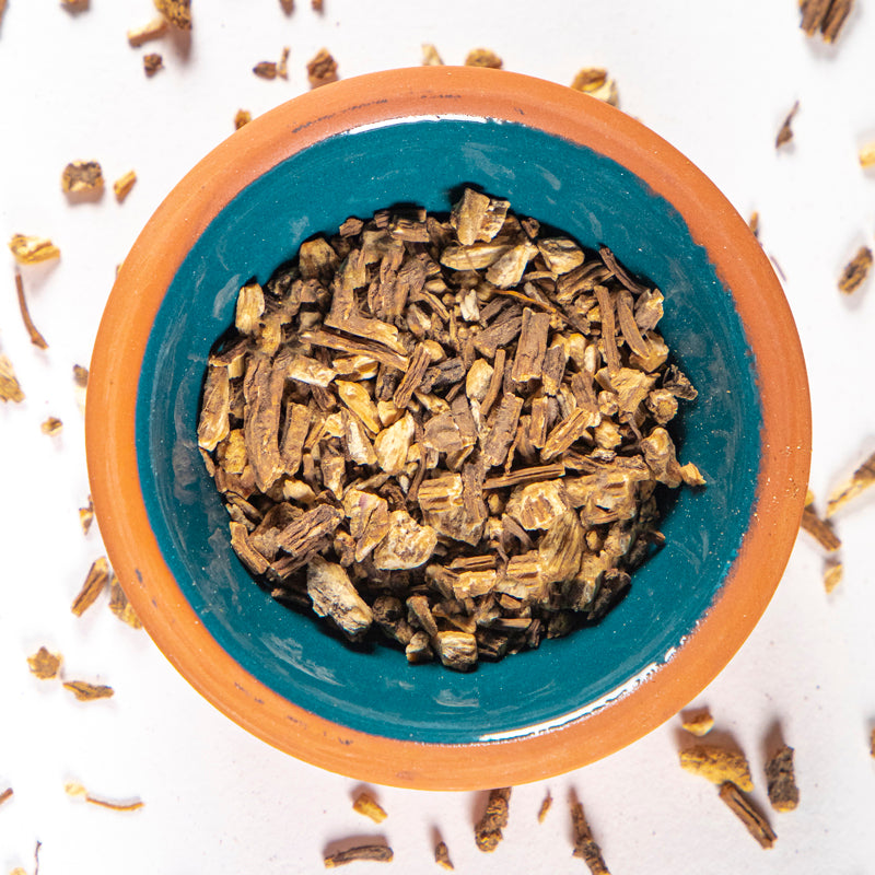Angelica Root herb in blue clay bowl with white background and herb surrounding.