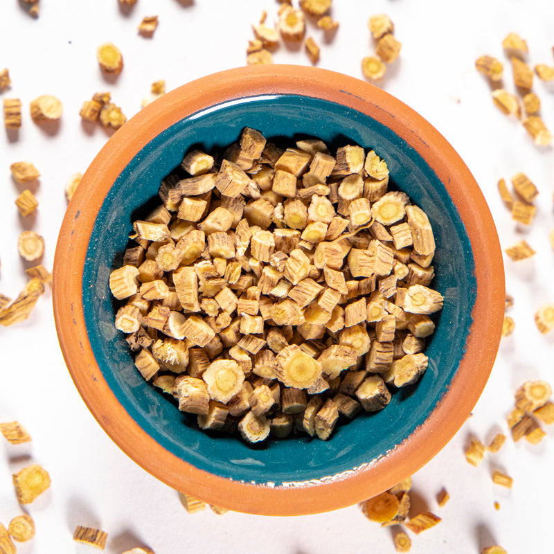 Astragulus Root herb in blue clay bowl with white background and herb surrounding.