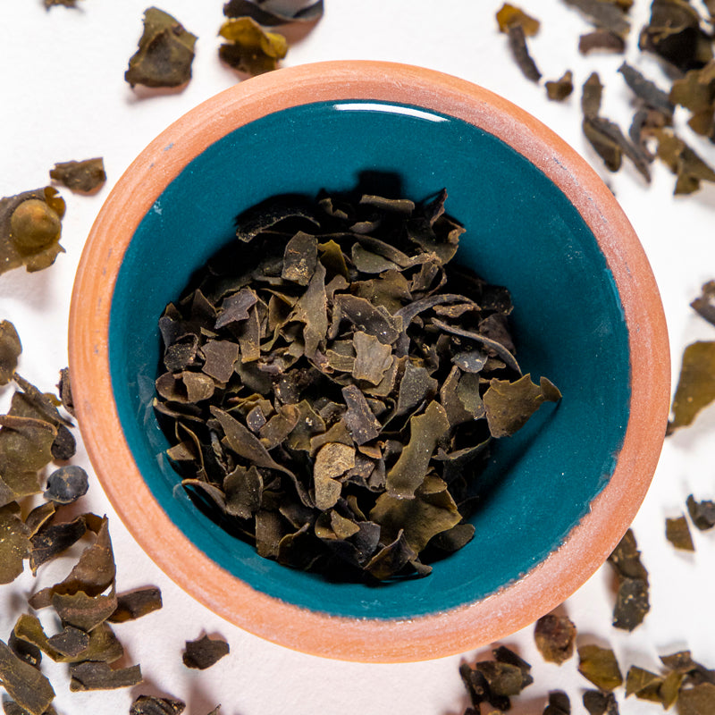 Bladderwrack herb in blue clay bowl with white background and herb surrounding.