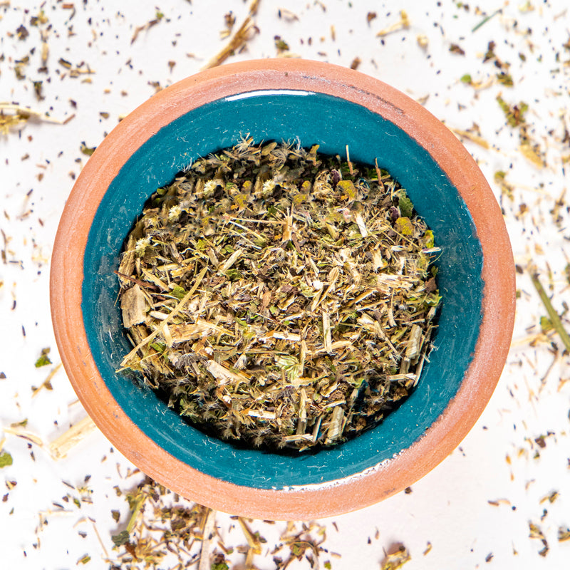 Boneset herb in blue clay bowl with white background and herb surrounding.