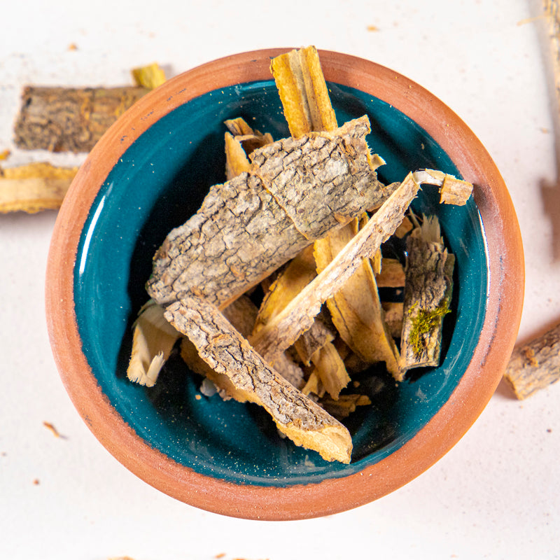 Cramp bark herb in blue clay bowl with white background and herb surrounding.