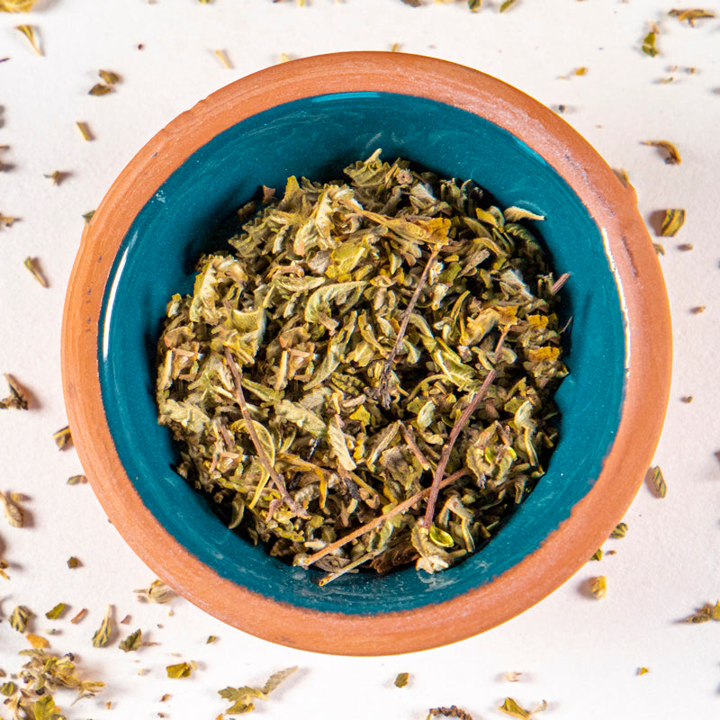 Damiana Leaf herb in blue clay bowl with white background and herb surrounding.