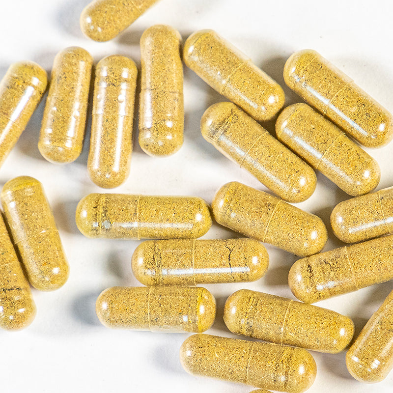 Move capsules spread out over table filled with Solomon’s Seal, Skullcap, Turmeric, Burdock Root, Devil’s Claw, and Ginger.