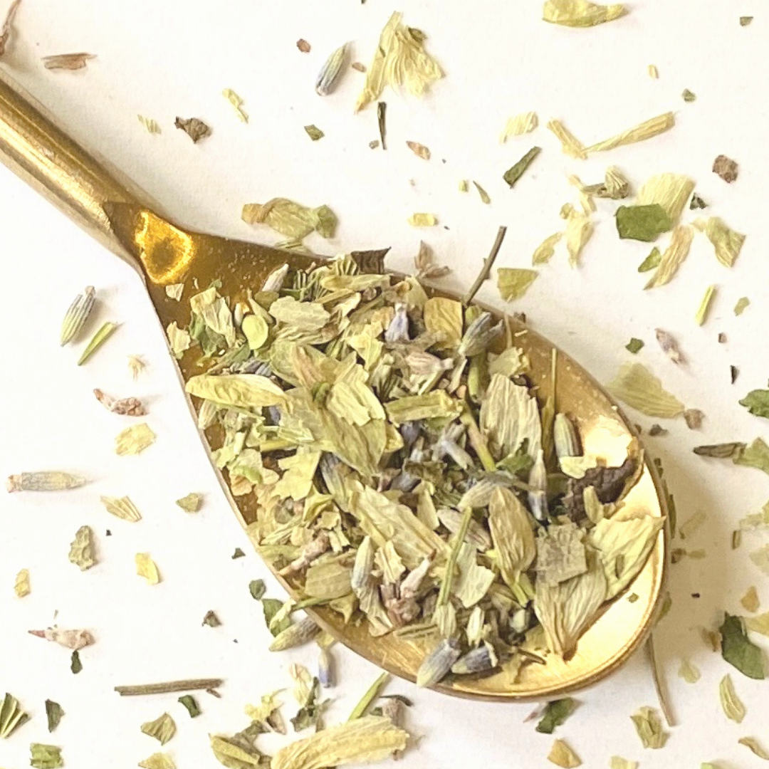 Herb Blend of Skullcap, Hops, Lavender, Lobelia on gold spoon